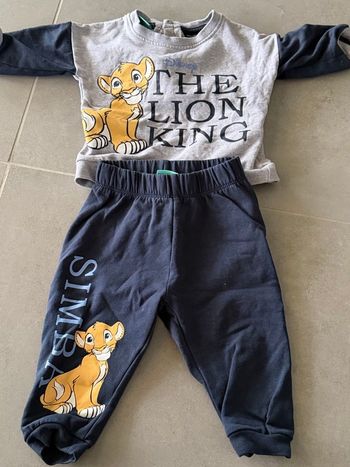 Ensembles Roi Lion