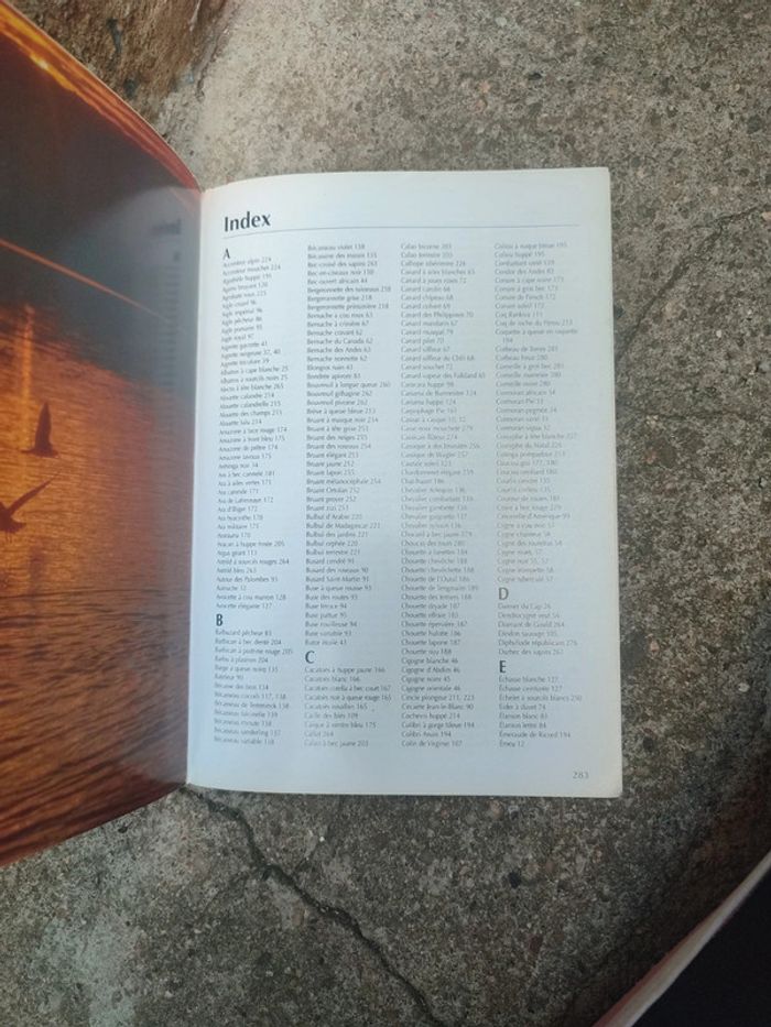Livre l'univers des oiseaux - photo numéro 10