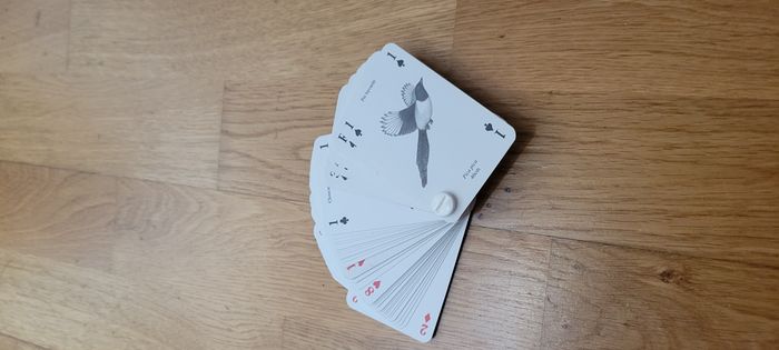 Jeu de 52 cartes oiseaux