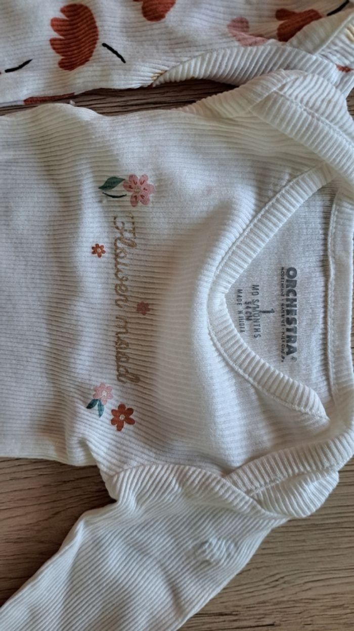 2 bodies ML 1mois - photo numéro 2