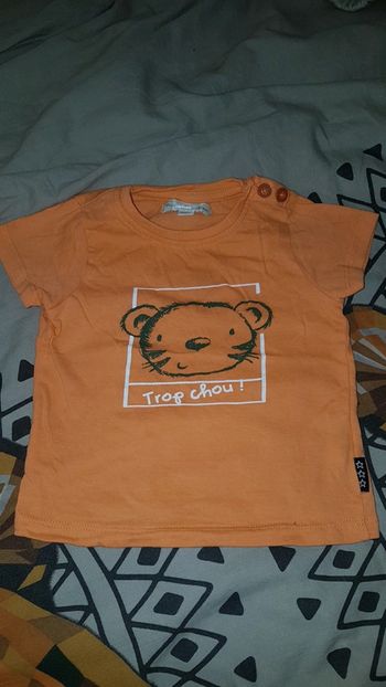 T-tshirt 9mois-71cm mes petits cailloux