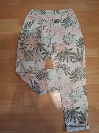 Pantajog feuilles kaki vert d'eau