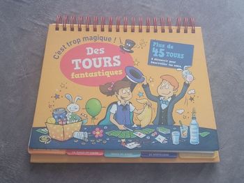 Des tours fantastiques par Jérôme Sauloup