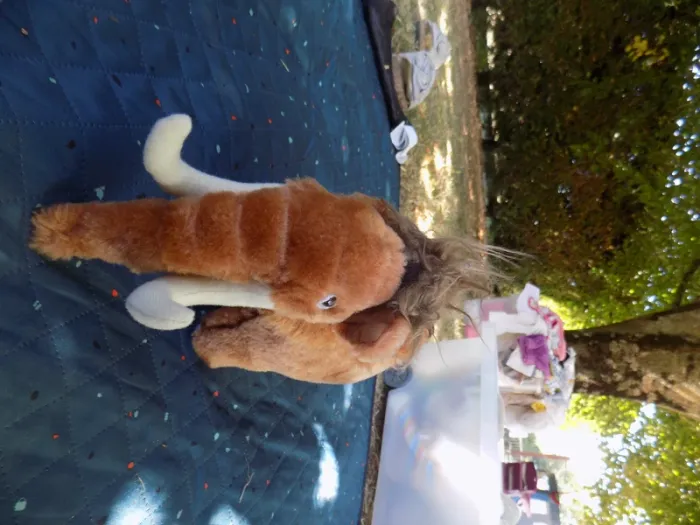 peluche - photo numéro 2