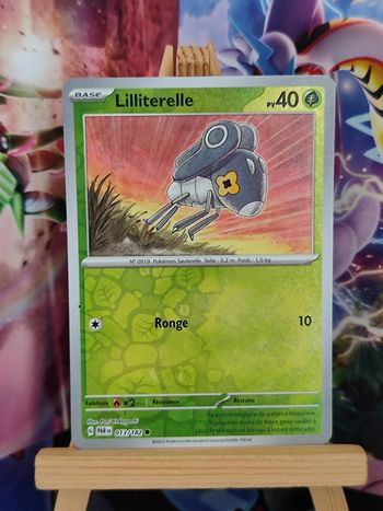 Lilliterelle reverse 13/182 faille paradoxe