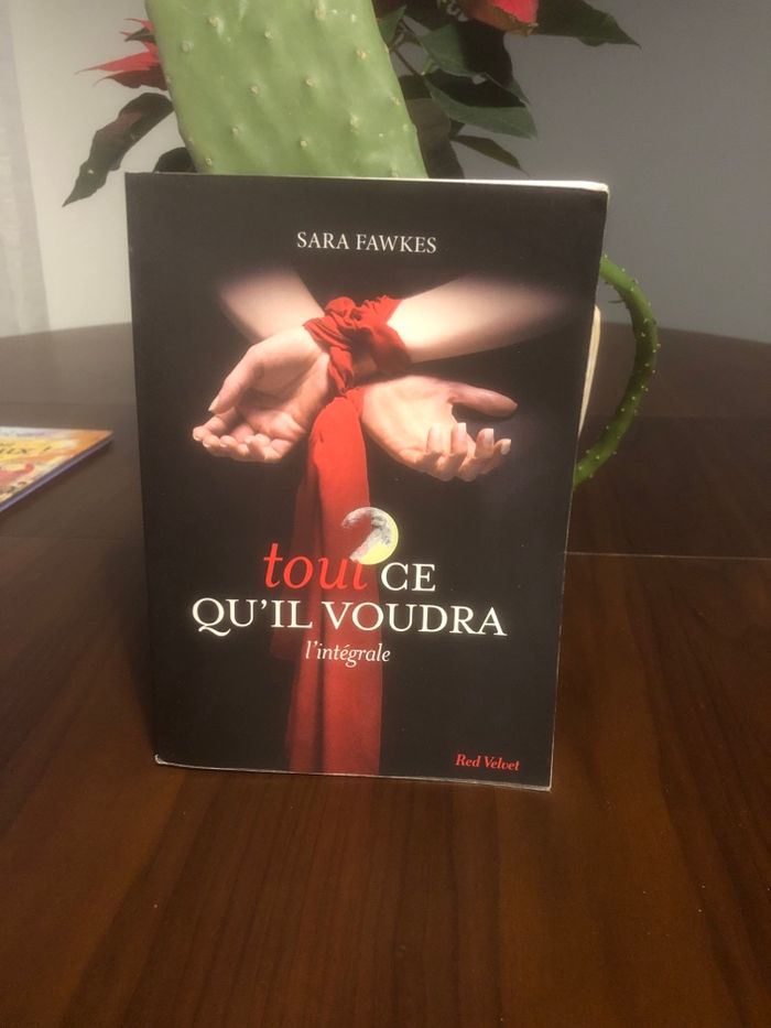Tout ce qu’il voudra - Sara Fawkes