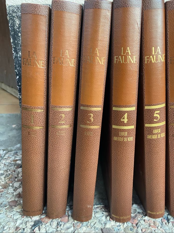Livre la faune - photo numéro 2