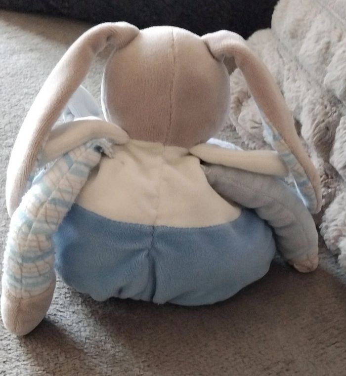 Doudou et compagnie- douche peluche boule  chien d activités - photo numéro 2