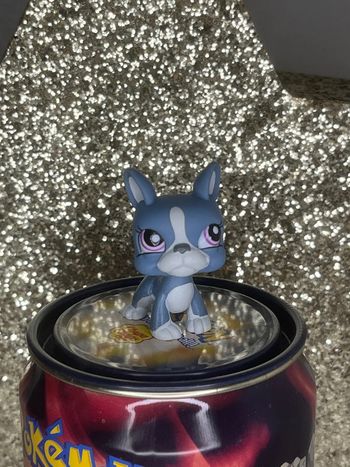 Littlest pet shop #1025 Boston terrier