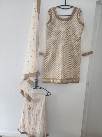 Pakistani dress / outfit