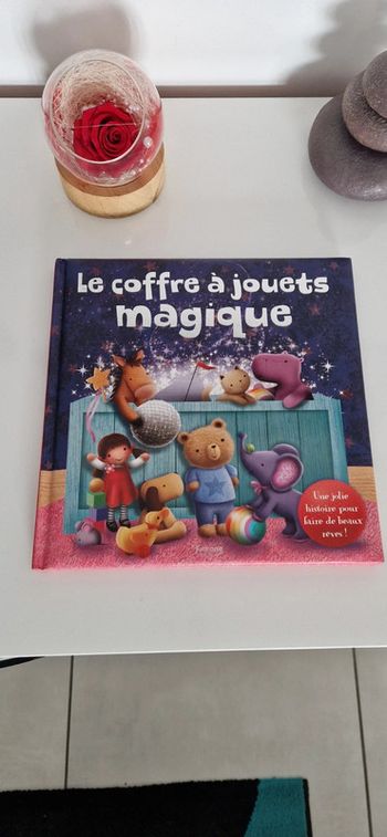 Livre enfant Le coffre à jouets magique