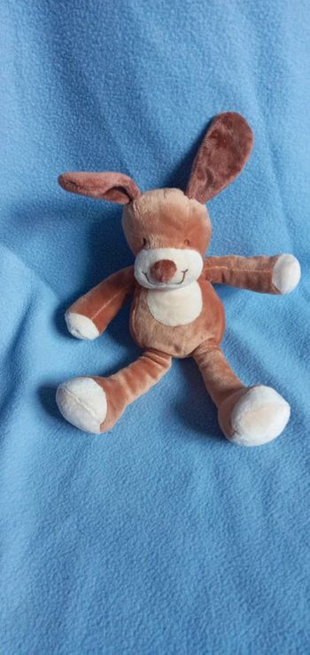 Doudou peluche chien Nicotoy