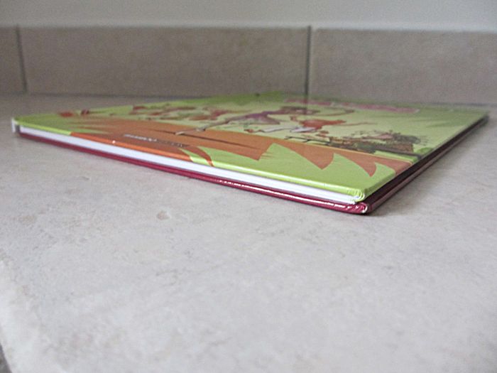 BD Studio Danse – Tome 3 - photo numéro 5