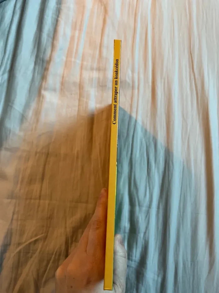 Comment attraper un koakcédon - photo numéro 3