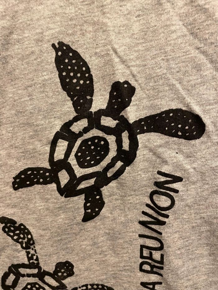 Tee shirt gris 4 ans , île de la réunion - photo numéro 2