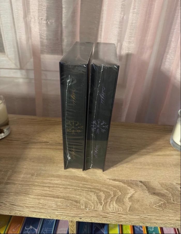 The devil’s sons tome 1 et 2 collector - photo numéro 2