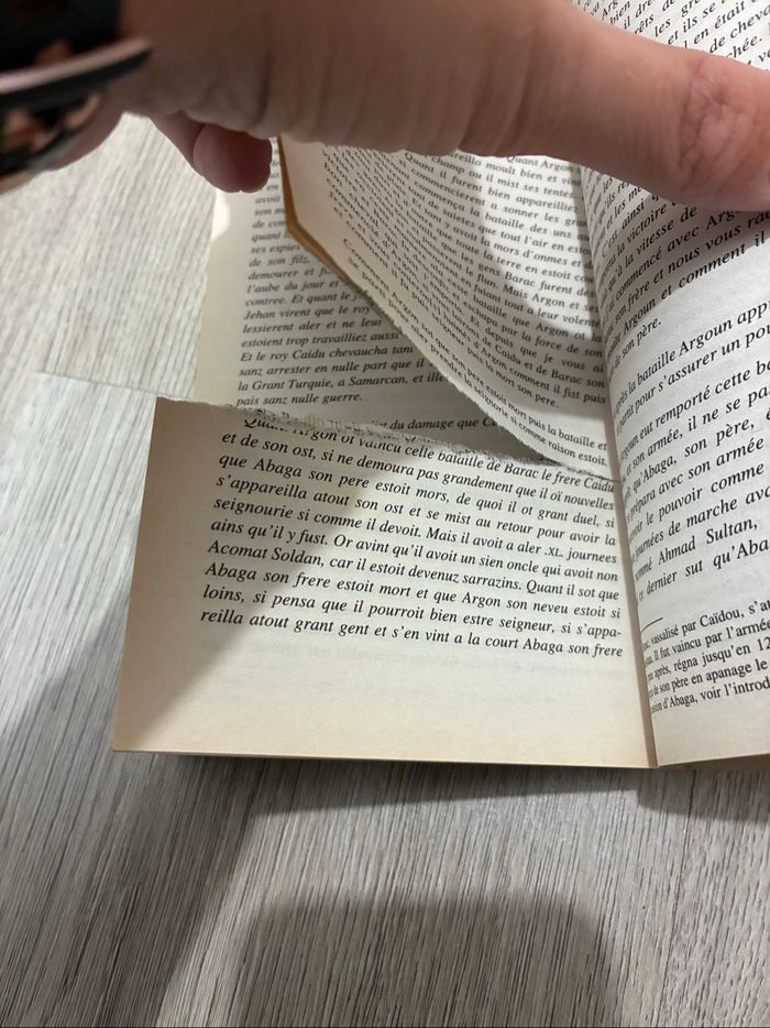 La description du monde - photo numéro 3