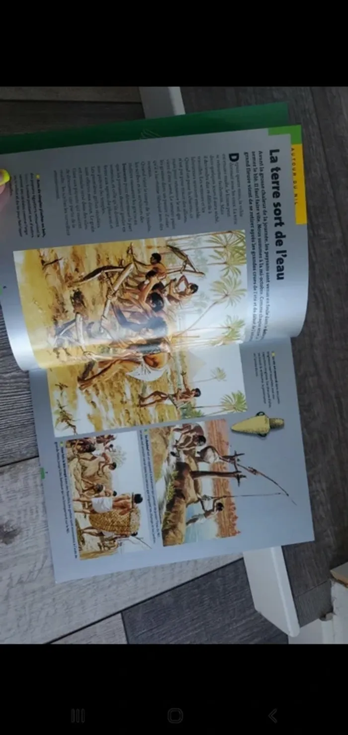 Livre Les Egyptiens - de la 1re dynastie à la conquête d'Alexandre - photo numéro 6