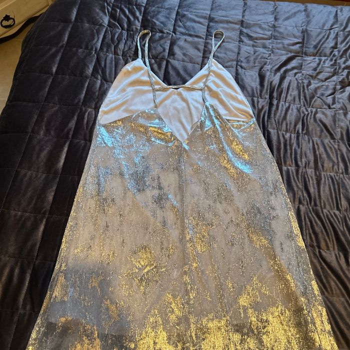 Rose longue argenté - photo numéro 2