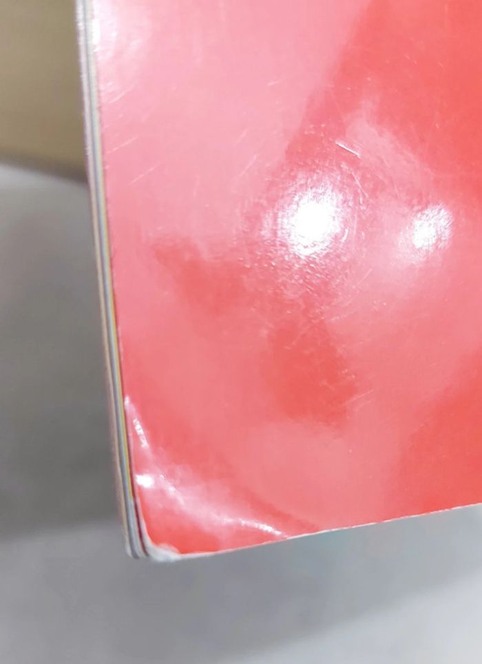 🌺 Livre (école des loisirs) : Le chat rouge - photo numéro 8