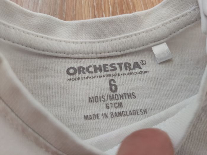 Ensemble Orchestra - photo numéro 6