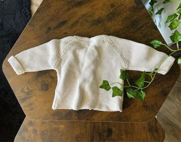 Vestes - photo numéro 6