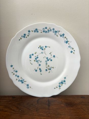 Vintage plat rond Arcopal véronica myosotis 