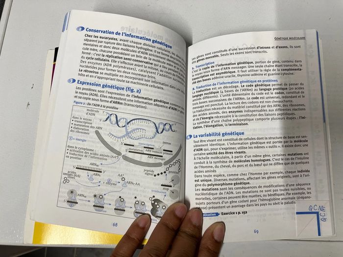 Reflexe biologie - photo numéro 2
