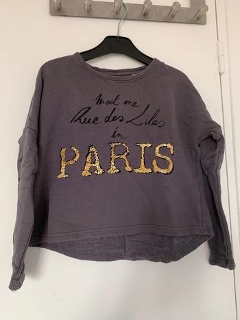 Sweat gris Paris court 138 cm
