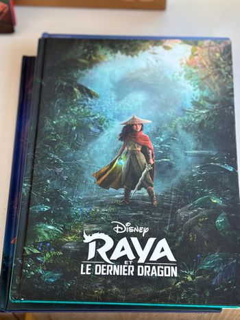Livre raya Disney cinema histoire du film