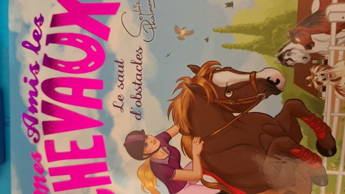 lot de deux livres - photo numéro 5