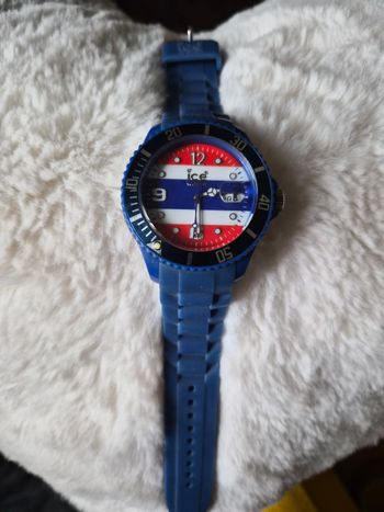 Montre ice swatch