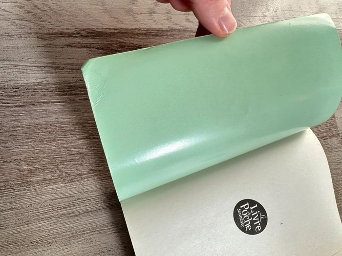 Livre « Mille baisers pour un garçon » Tillie Cole - photo numéro 7