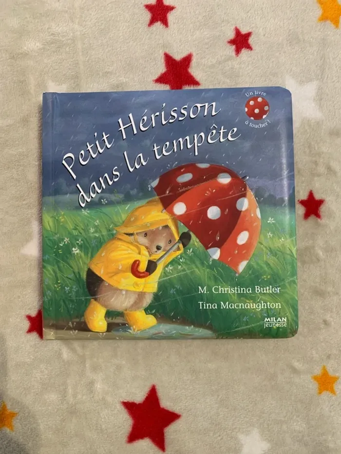 Petit Hérisson dans la Tempête – Petit format – Livre à toucher