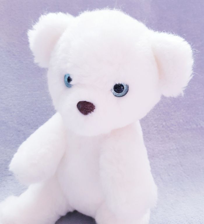 🎁 Lot Ourson musical + Livre en tissu - Neuf 🎁 - photo numéro 5