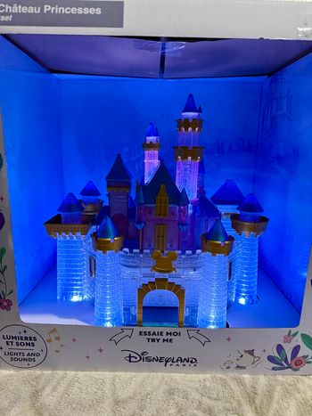 Château princesse Disney