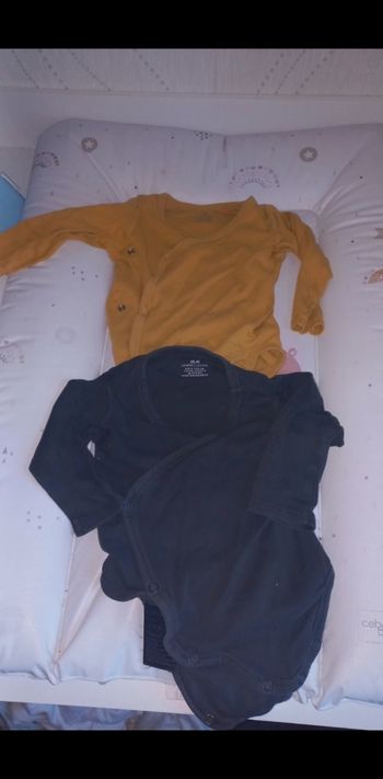 Lot 2 body