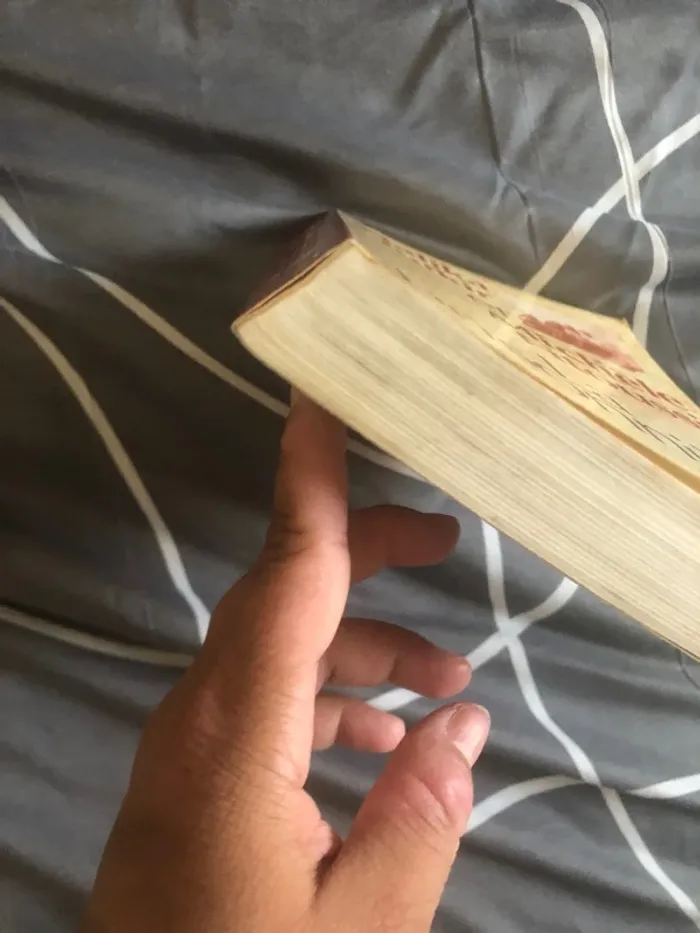 Livre la prisonnière histoire vrai 📕 - photo numéro 6