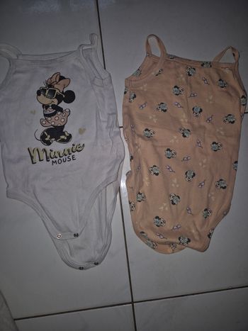 Lot 2 bodies minnie