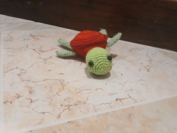 Tortue carapace rouge