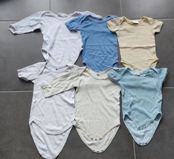 Lot 6 bodies 12 mois