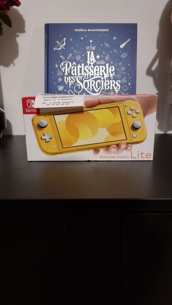 Nintendo switch lite 