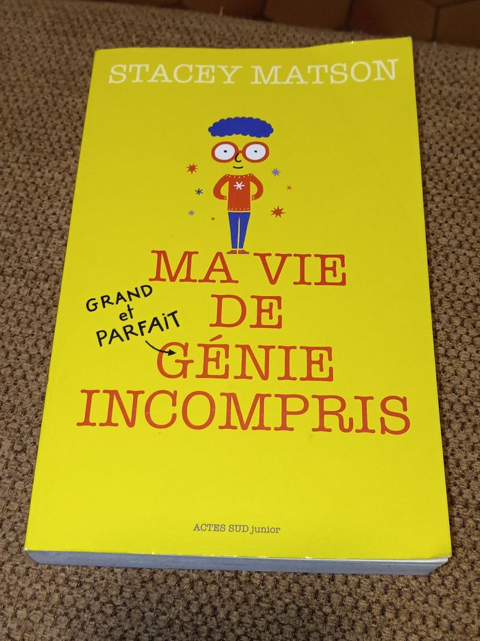 Ma vie de génie incompris par Stacey Matson