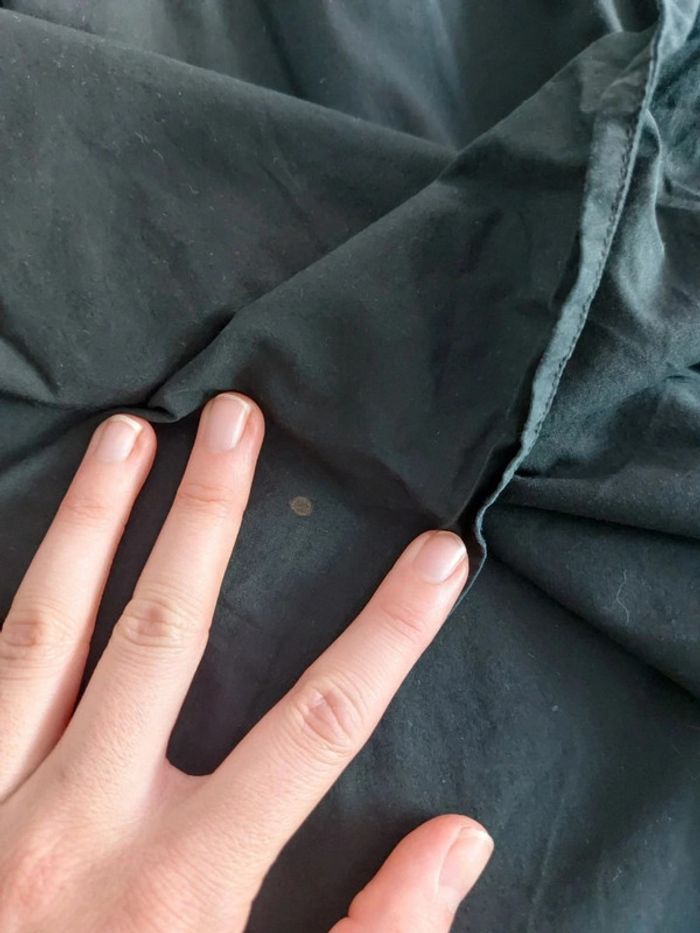 Chemise Tommy Brodée - photo numéro 4