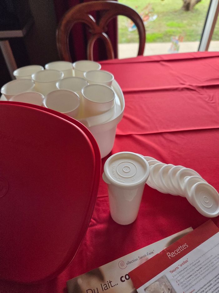 Yaourtière 3L avec livre Tupperware - photo numéro 10