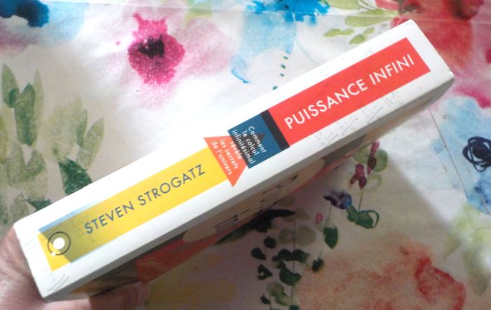 PUISSANCE INFINI (Calcul infinitésimal) par Steven STROGATZ - photo numéro 4