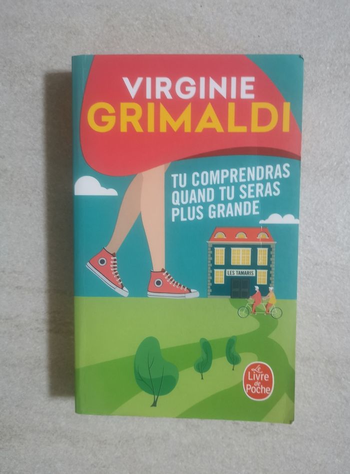 Lot de 4 romans de Virginie Grimaldi - photo numéro 5