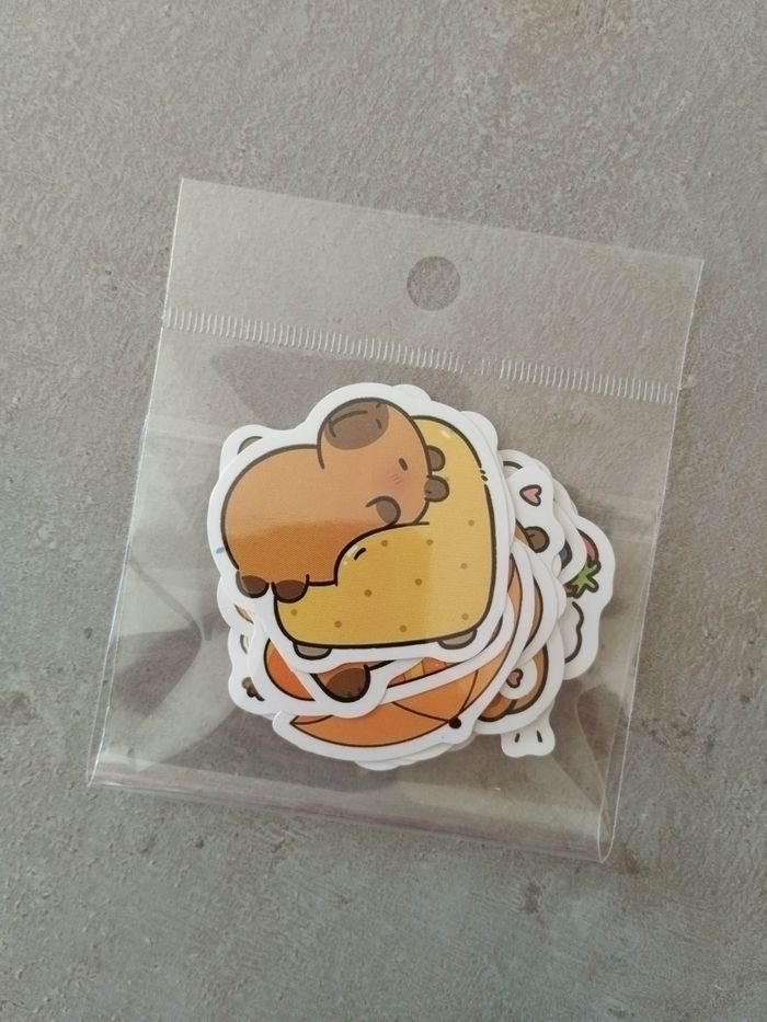 Lot x20 stickers autocollants Capybara - photo numéro 2
