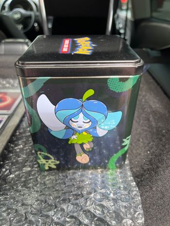 Boîte rangement vide Pokémon 