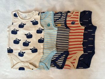 les 5 bodys, thème baleine